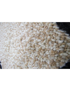 Tapis BERBERE LISA 2