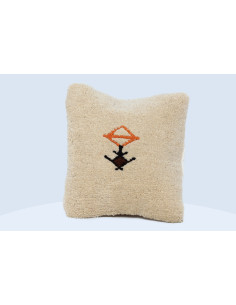 Coussin CASSIE 2