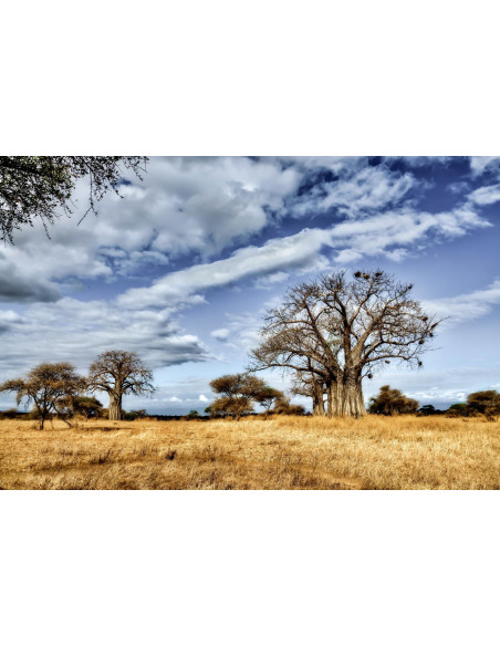 Tableau imprimé 095