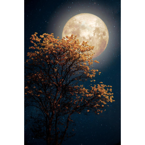 Tableau imprimé 096