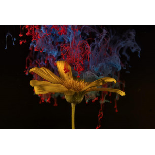 Tableau imprimé 154