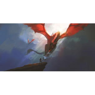 Tableau imprimé 167