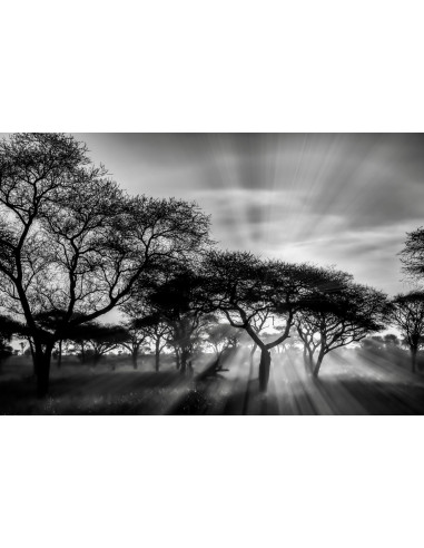 Tableau imprimé 169