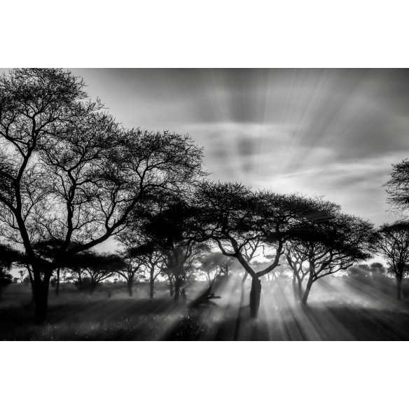 Tableau imprimé 169