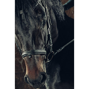 Tableau imprimé 177