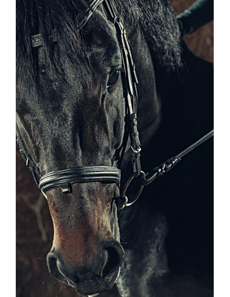 Tableau imprimé 177