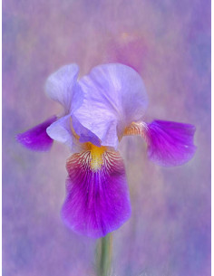 Tableau imprimé 186