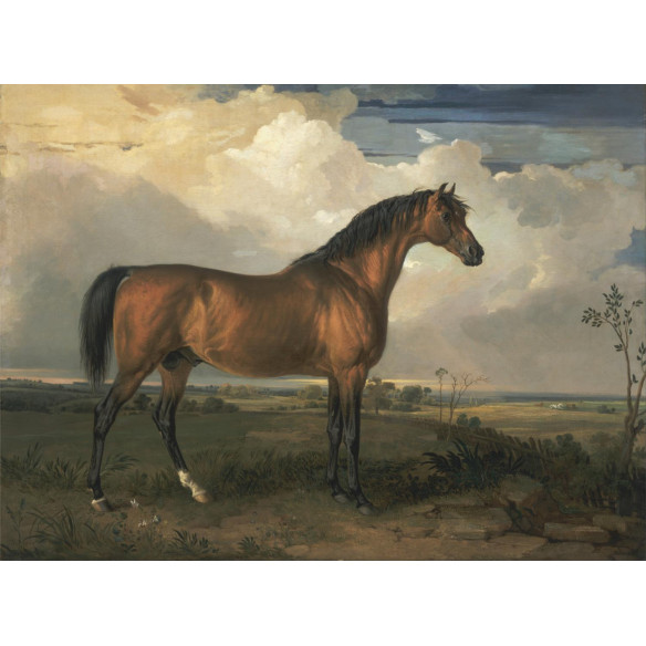 Tableau imprimé 187