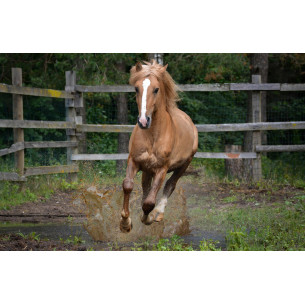 Tableau imprimé 291