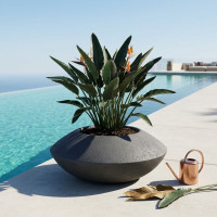 Bac à Fleurs Design Sonic 50 pour Jardin et Terrasse