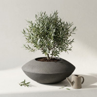 Bac à Fleurs Design Sonic 50 pour Jardin et Terrasse