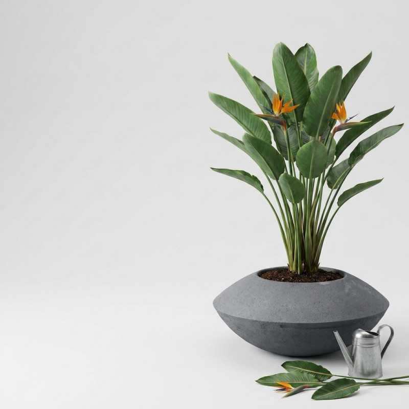 Bac à Fleurs Design Sonic 50 pour Jardin et...