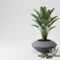 Sonic 50 Modern Design Planter Pot