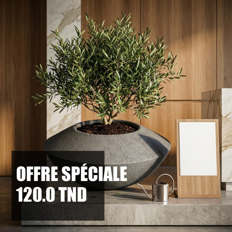 Bac à Fleurs Design Sonic 50 pour Jardin et...
