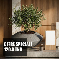 Sonic 50 Modern Design Planter Pot