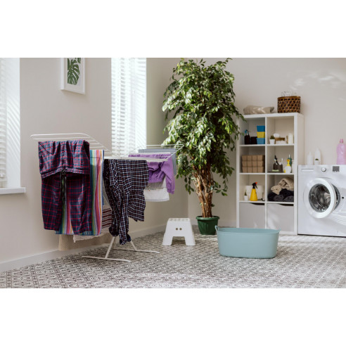 Cellar / Laundry Decoration Service - Margoom.